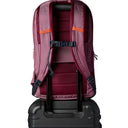 Cotopaxi Allpa 26L Daypack - Rucksack 52 cm (fig) - Ansicht 5