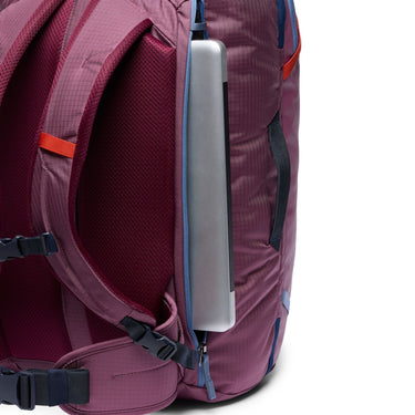 Cotopaxi Allpa 35L Travel Pack - Reiserucksack 56 cm (fig) - Ansicht 6