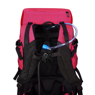 Delsey Paris Nomade - Rucksack 15" 43 cm L RIFD (paonie) - Ansicht 9