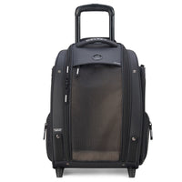 Delsey Paris Raspail - 2-Rollen-Tiertrolley 48 cm nachhaltig (schwarz)