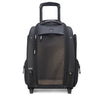 Delsey Paris Raspail - 2-Rollen-Tiertrolley 48 cm nachhaltig (schwarz)