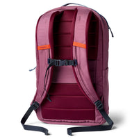 Cotopaxi Allpa 26L Daypack - Rucksack 52 cm (fig) - Ansicht 2