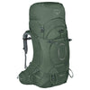 Osprey Ariel 65 Women M/L - Trekking Backpack 75 cm (koseret green, 65 L (M/L))
